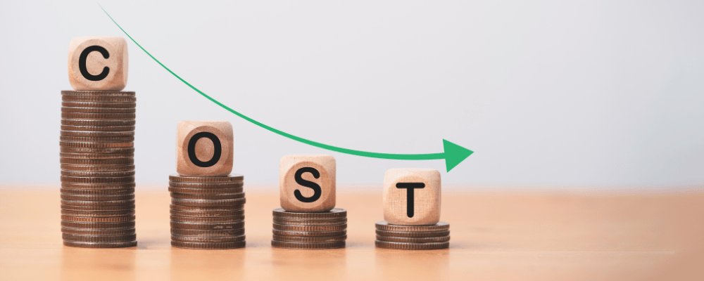Cost Efficiency